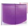 Grape Purple 2-Tone Letter Size Expanding File with 12 Tabbed Pockets